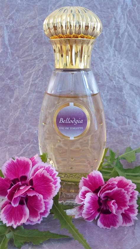 bellodgia perfume macy's.